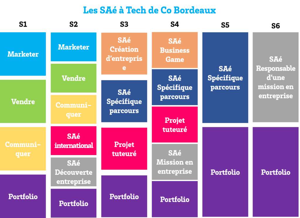 Les différentes SAé du BUT TC